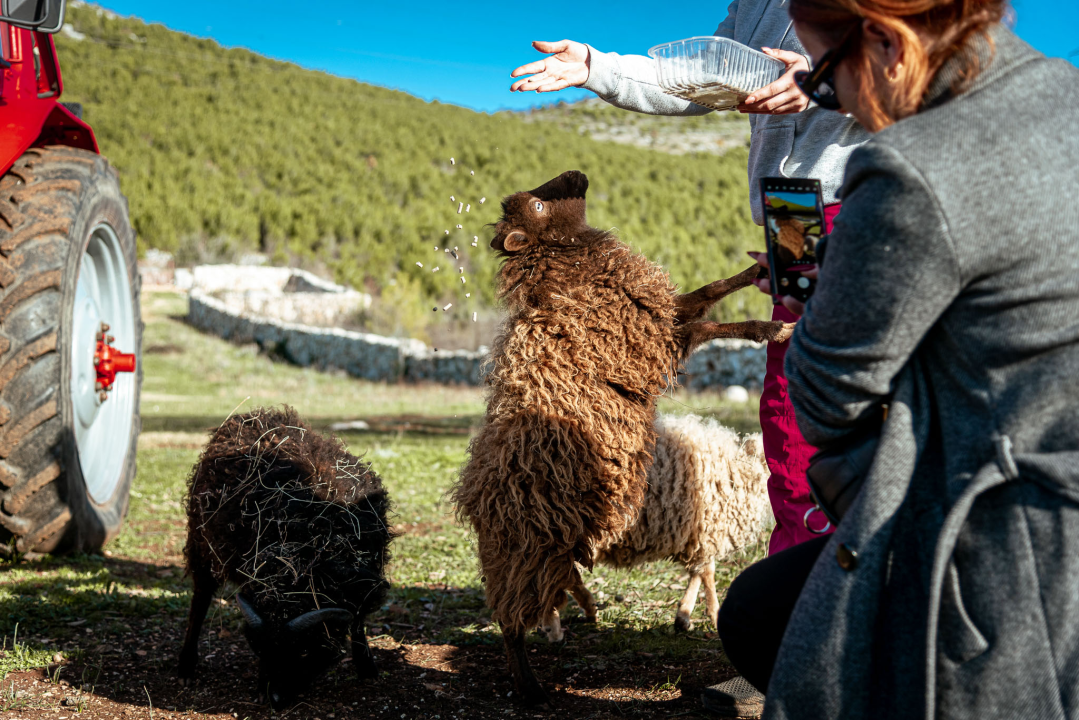 Jelena, Nina i Srećko oduševe svakoga tko posjeti Happy Horse u Dubravi