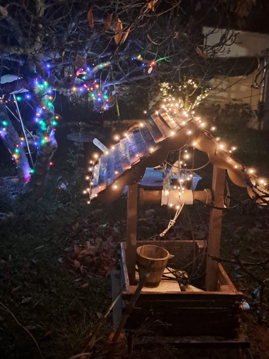 Božićni vrt obitelji Vlahov oduševljava: Blista s 27 tisuća lampica