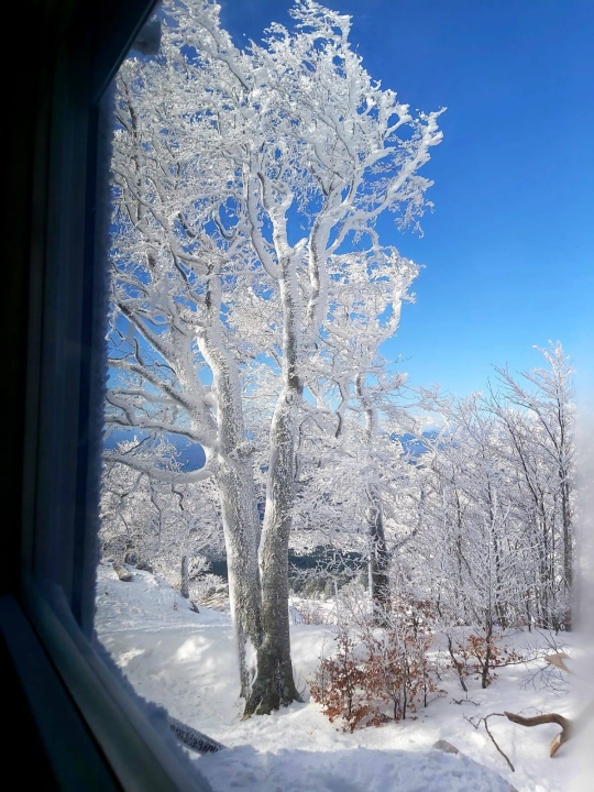 Mihovilovci i ove godine organizirali uspon na Dinaru za sv. Stjepana