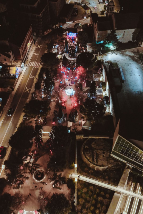 Elemental i Djobi Djoba oduševili sinoć u parku