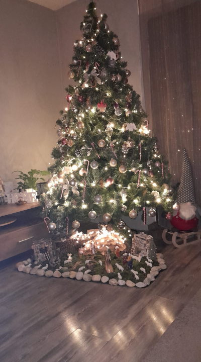 Provjerite tko su pobjednici izbora za naj jelku!