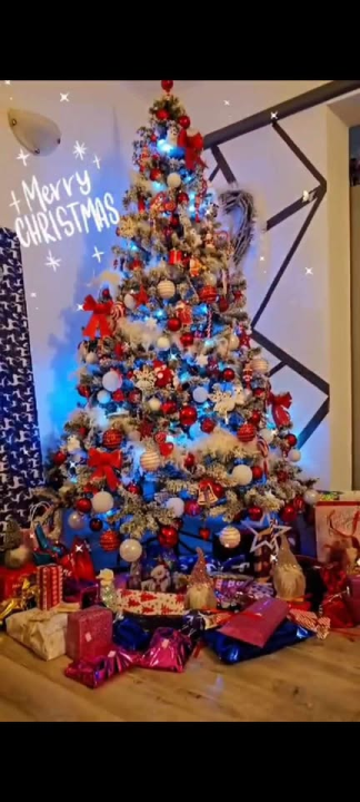 Provjerite tko su pobjednici izbora za naj jelku!