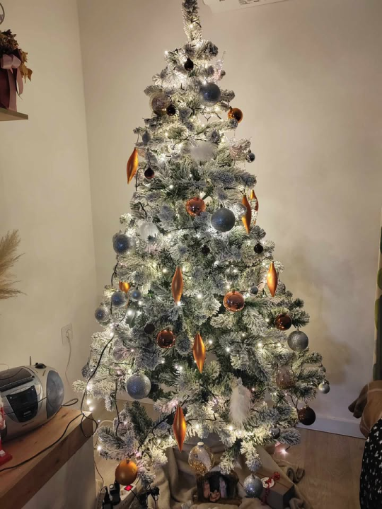 Provjerite tko su pobjednici izbora za naj jelku!