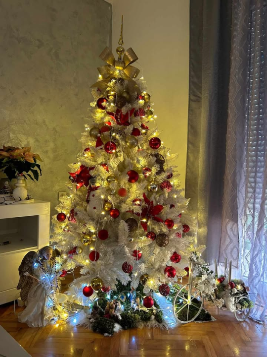 Provjerite tko su pobjednici izbora za naj jelku!