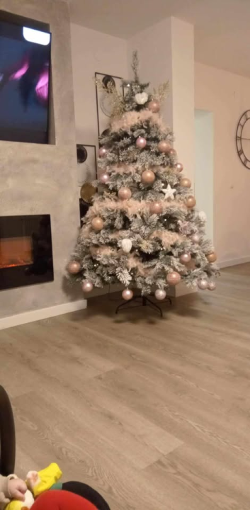 Provjerite tko su pobjednici izbora za naj jelku!