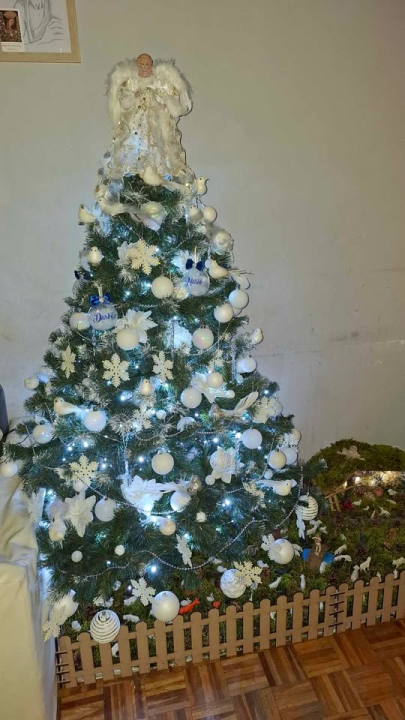 Provjerite tko su pobjednici izbora za naj jelku!