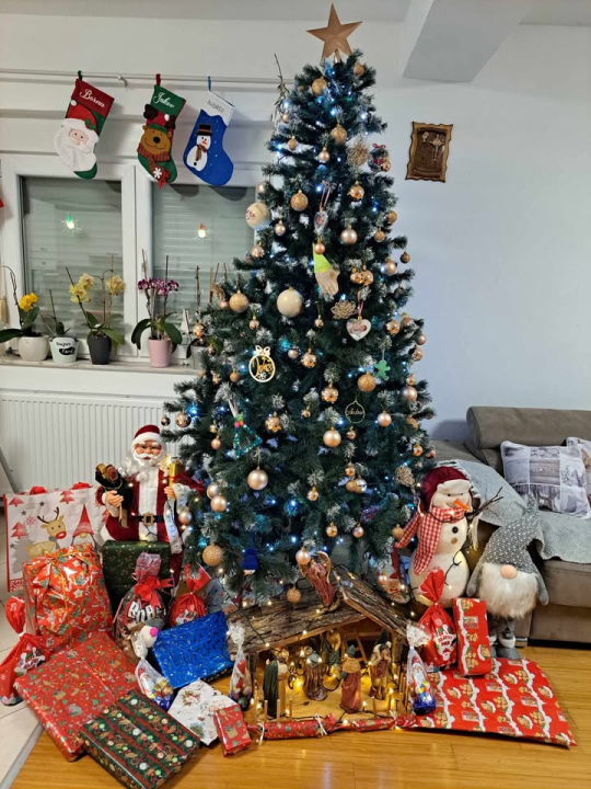 Provjerite tko su pobjednici izbora za naj jelku!