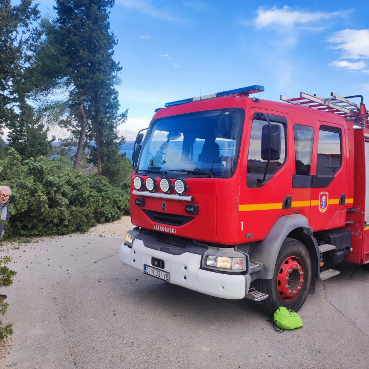 Bilički vatrogasci uklanjali stablo s prometnice