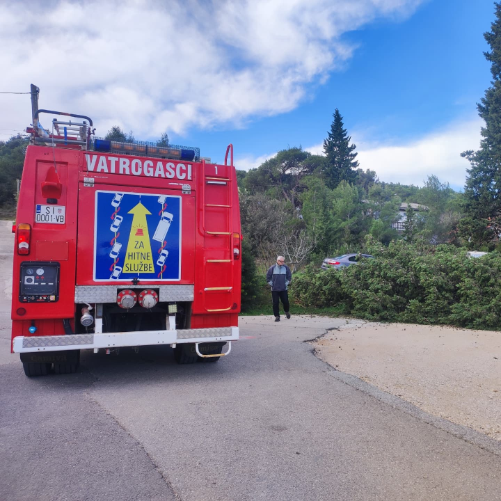 Bilički vatrogasci uklanjali stablo s prometnice