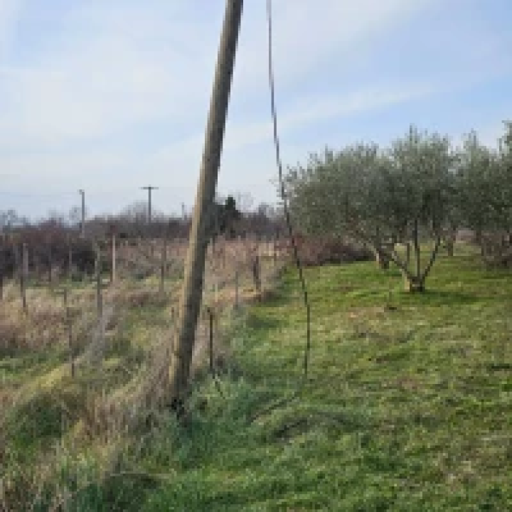 Bačići godinu dana bez interneta: ‘Kod nas će nas prije udariti grom nego doći operater’