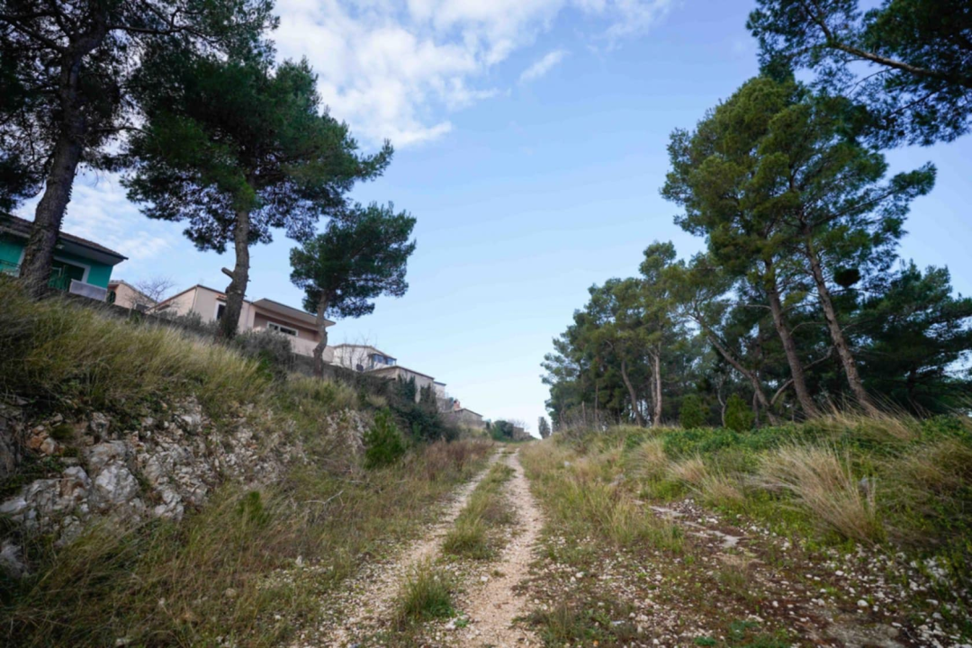 Mandalina će dobiti novu cestu: Grad Šibenik dobio dozvolu za izgradnju