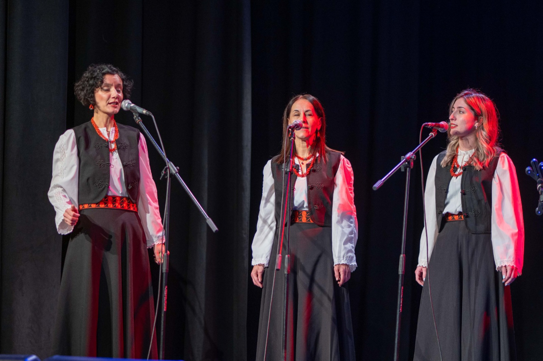 Humanitarni koncert u Vodicama: Klape zapjevale za malu Petru