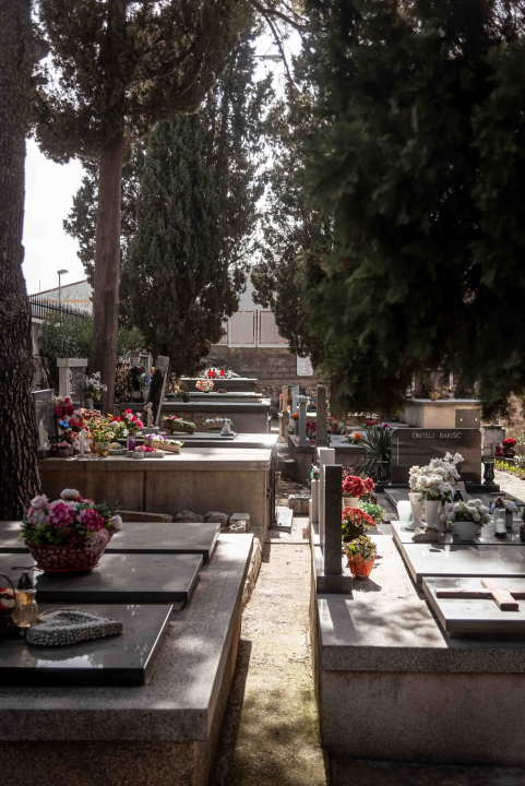 Mandalina - pomorska oaza Šibenika