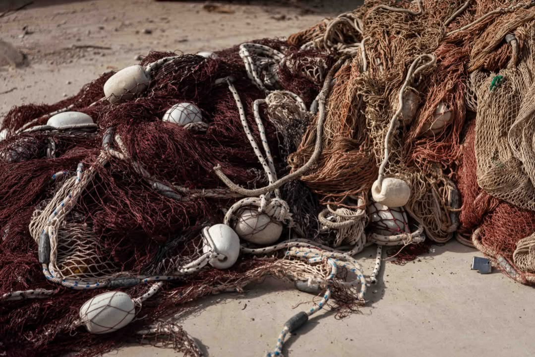 Mandalina - pomorska oaza Šibenika