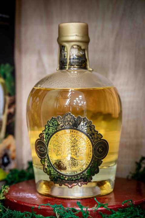 Karlić Tartufi donose jedinstvenu gastro ponudu iz Istre i Dalmacije