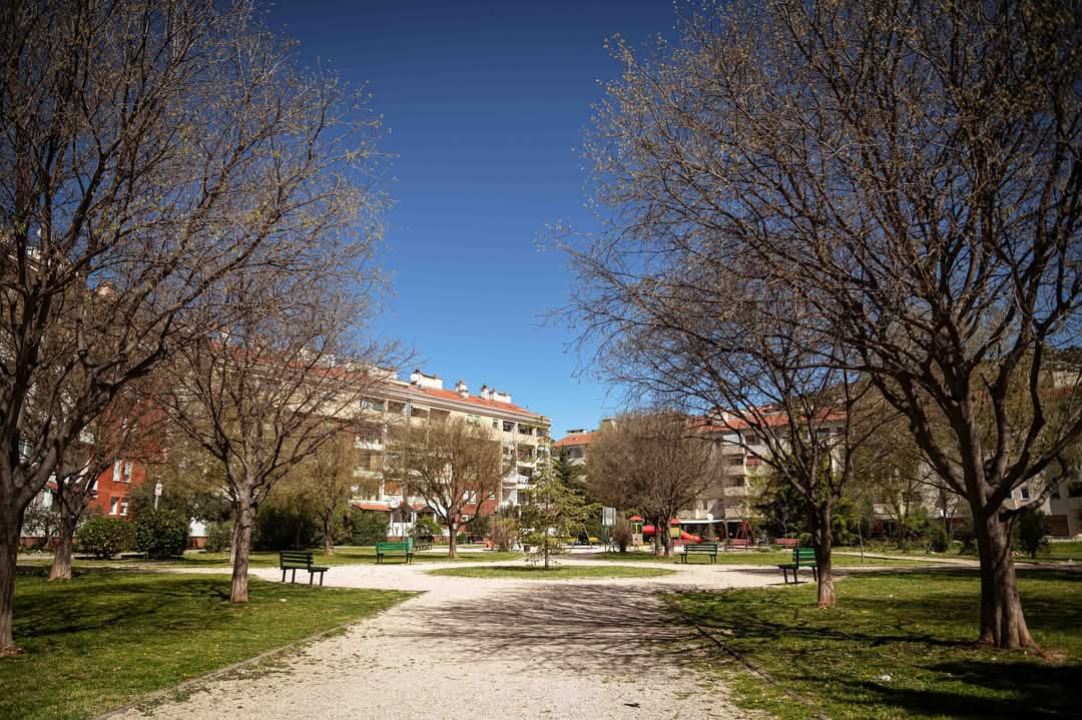 Možda Meterize ne izgledaju atraktivno, ali zato imaju pogled od milijun eura