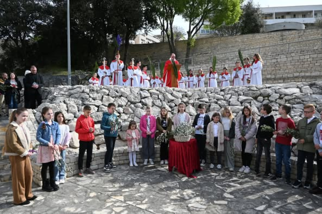 Cvjetnica na Šubićevcu