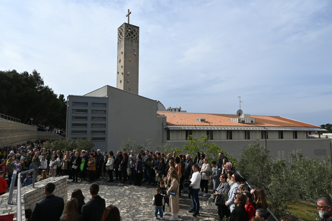 Cvjetnica na Šubićevcu
