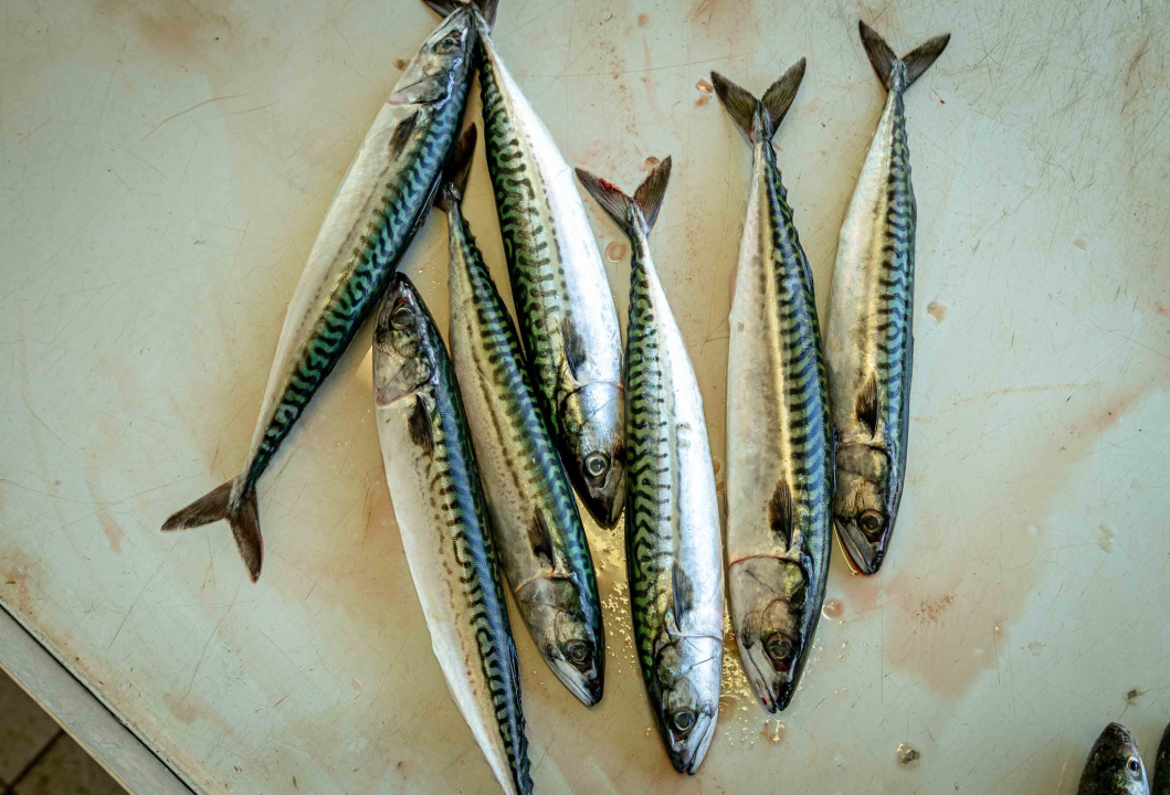 Veliki petak na šibenskoj pijaci: Traži se meso i zelenje, na peškariji nema gužve