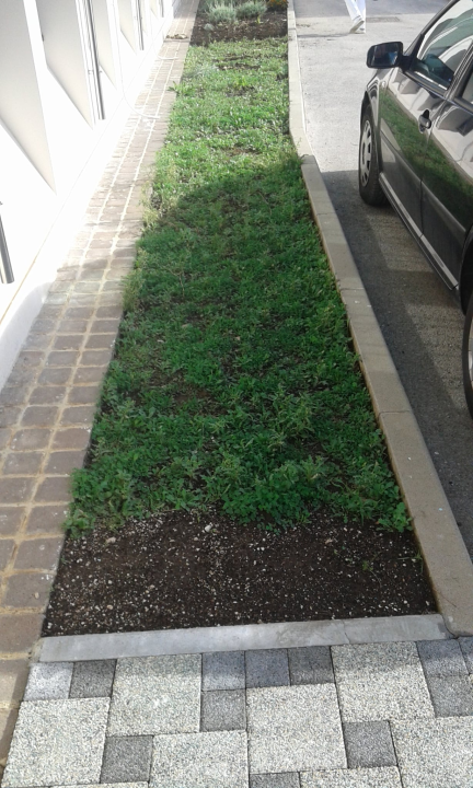 Učenici OŠ Meterize pravi ambasadori okoliša