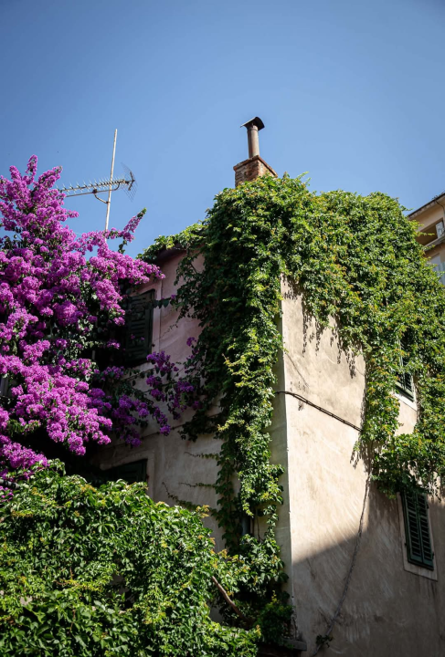 Baldekin 1 – Srce urbanog Šibenika