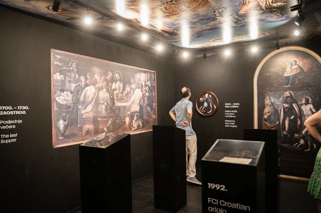 Otvorena Kuća dalmatinskog psa