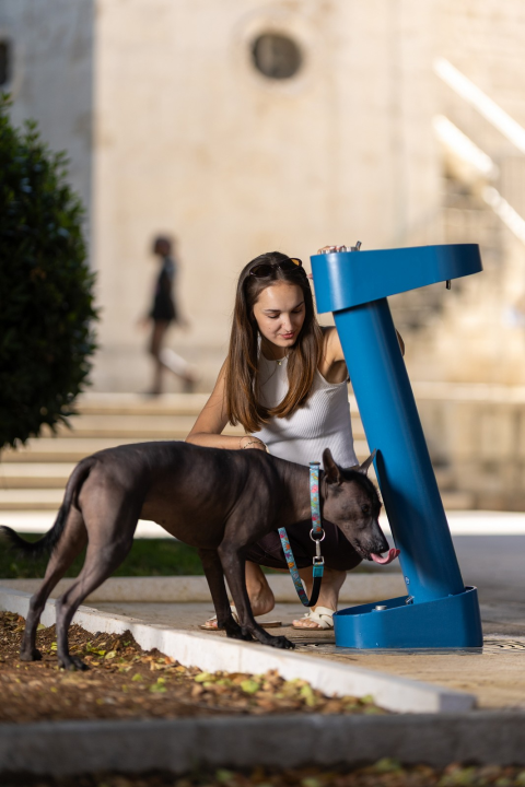 Šibenik postavio deset novih gradskih česmi čiji dizajn potpisuje Ante Filipović Grčić