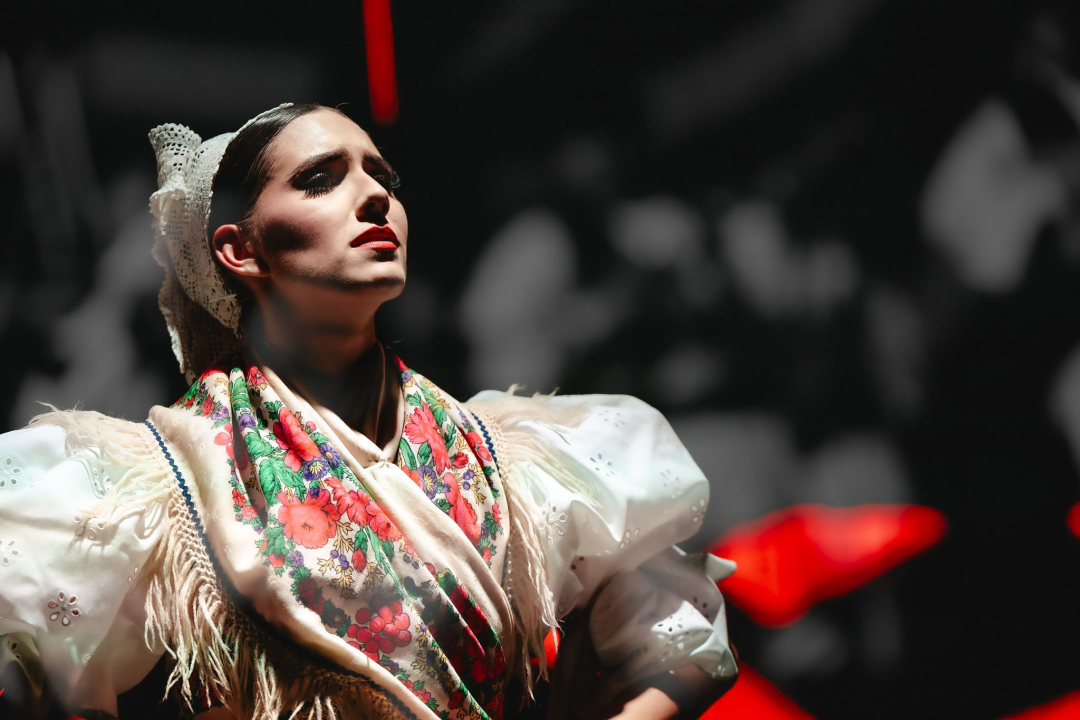 Lado oduševio šibensku publiku