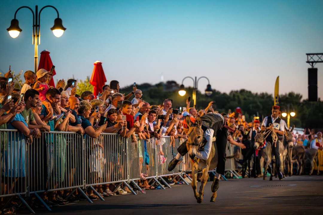 Održane 58. magareće trke u Tribunju