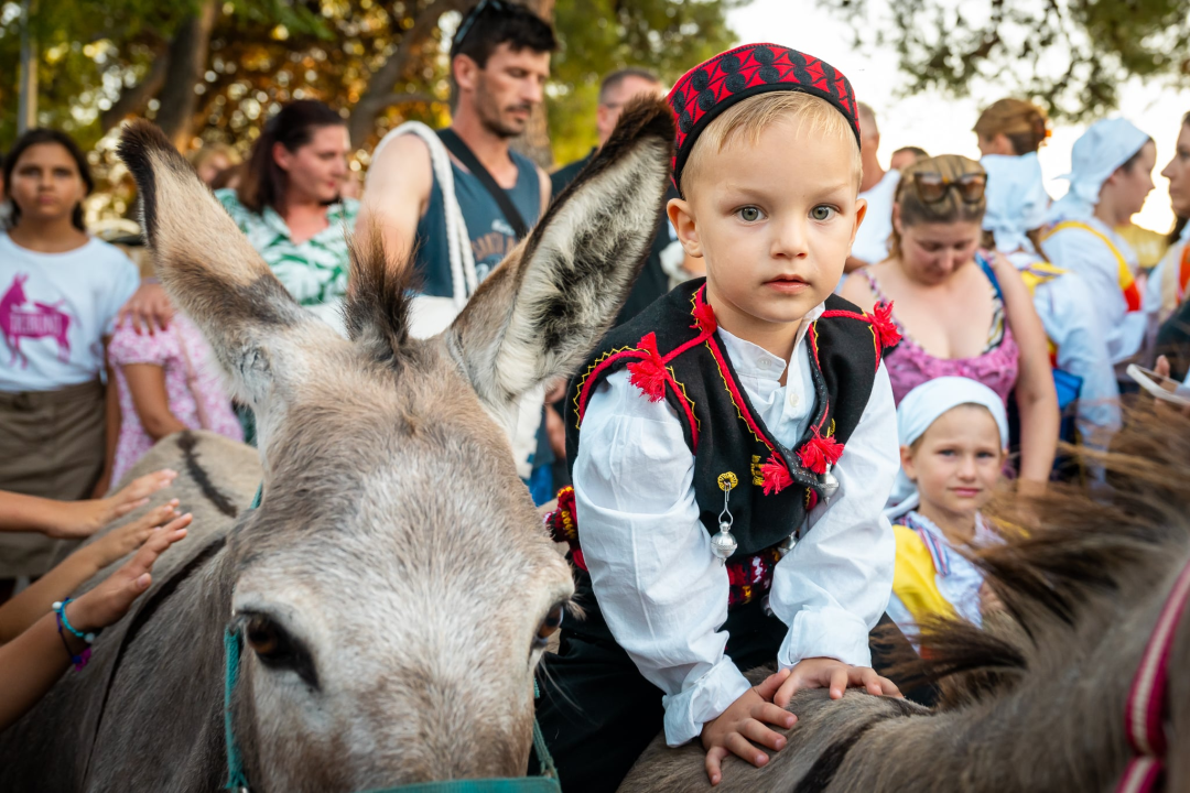 Održane 58. magareće trke u Tribunju