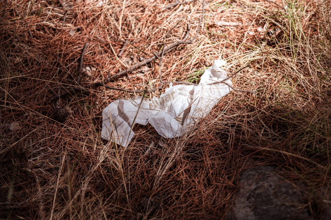 Smeće umjesto ljetne idile na stjenovitoj plaži u Brodarici