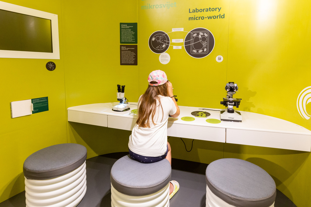 Rujan u NP „Krka“: edukativne radionice i programi za djecu i mlade