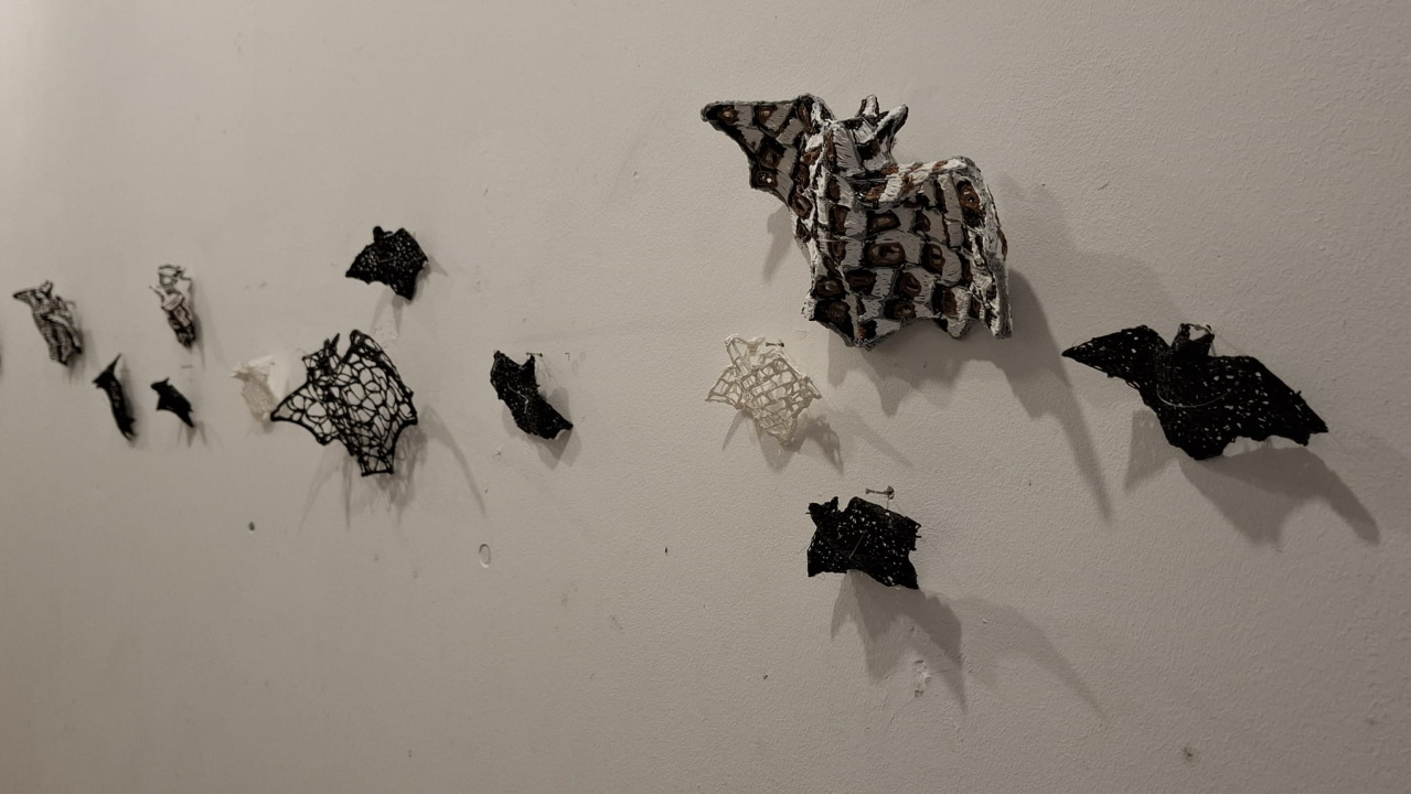 Izložba Martine Đira otvorena u Krševanu