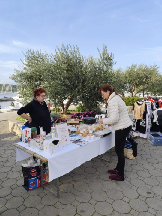 Pirovački buvljak za sterilizaciju i kastraciju mačaka