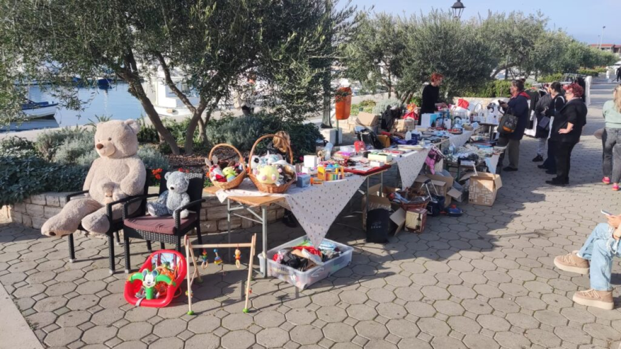 Održan humanitarni buvljak za pirovačke mačke: Sav prihod ide za njihovu kastraciju i sterilizaciju