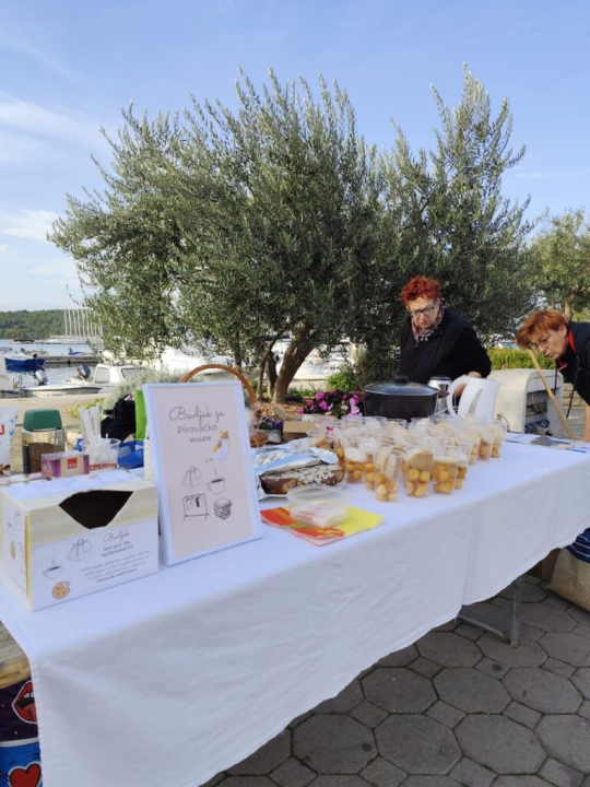 Održan humanitarni buvljak za pirovačke mačke: Sav prihod ide za njihovu kastraciju i sterilizaciju