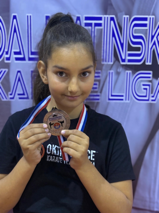 Dalmatinska karate liga