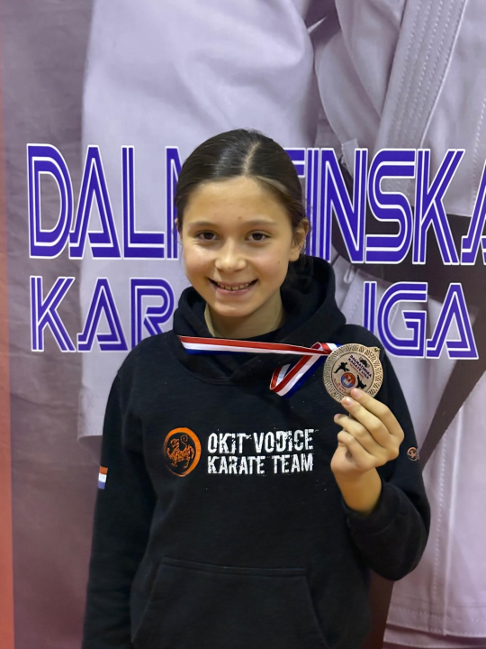 Dalmatinska karate liga
