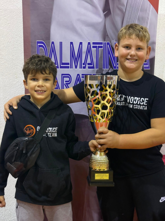 Dalmatinska karate liga