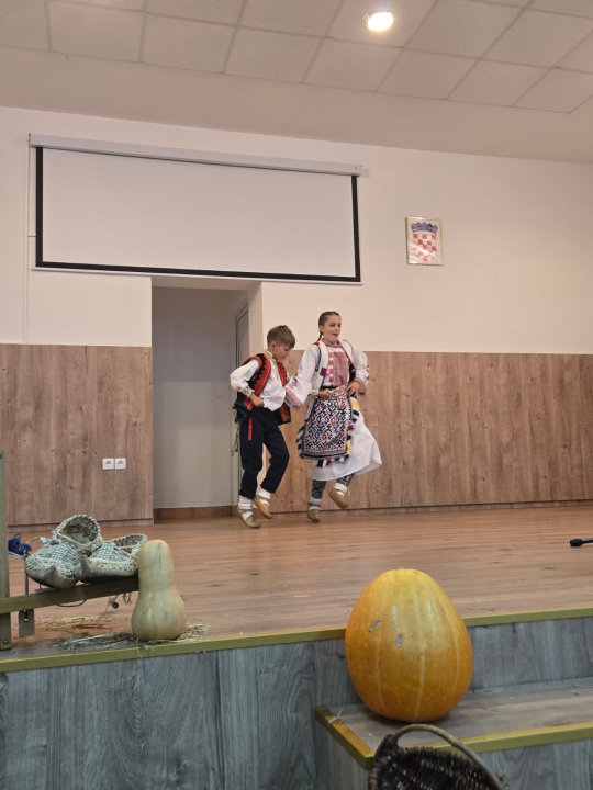 'Dinarsko silo' u Kijevu okupilo čuvare baštine, plesova i običaja 