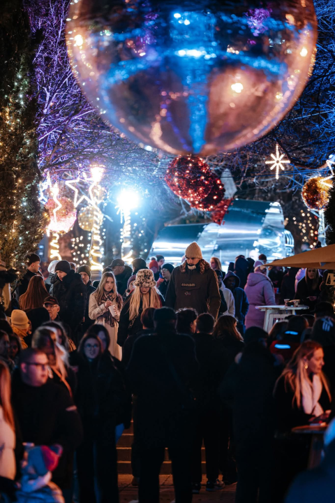 Daleka obala ispunila park: Šibenik plesao uz Deana, Zokija i Jadrana