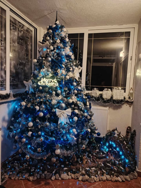 Odluka je pala: Donosimo vam pobjednike izbora najljepše božićne jelke ŠibenikIN-a