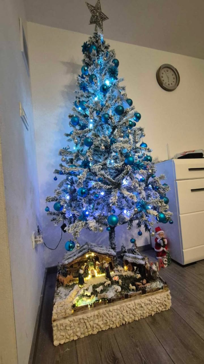 Odluka je pala: Donosimo vam pobjednike izbora najljepše božićne jelke ŠibenikIN-a