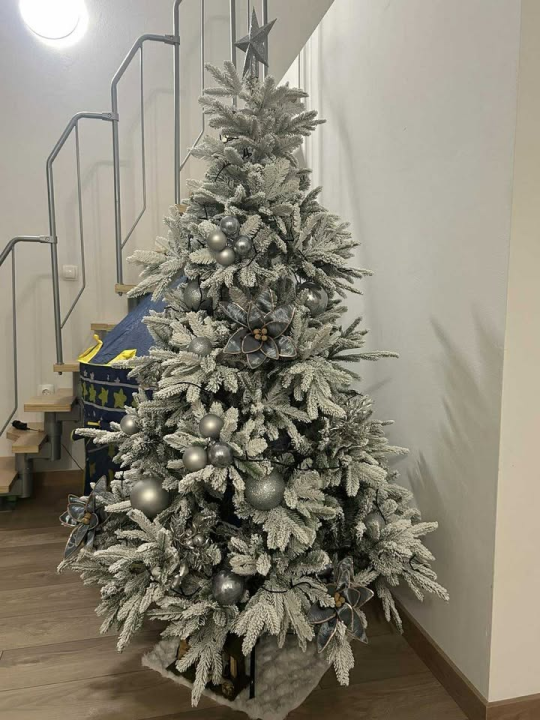 Odluka je pala: Donosimo vam pobjednike izbora najljepše božićne jelke ŠibenikIN-a