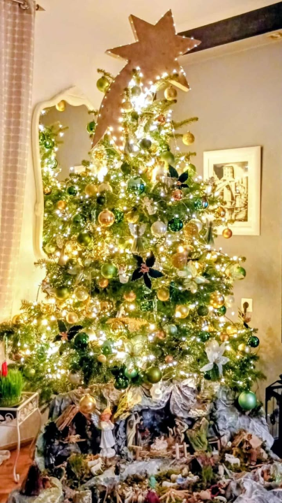 Odluka je pala: Donosimo vam pobjednike izbora najljepše božićne jelke ŠibenikIN-a