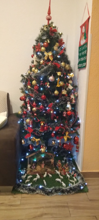 Odluka je pala: Donosimo vam pobjednike izbora najljepše božićne jelke ŠibenikIN-a