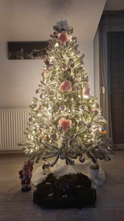 Odluka je pala: Donosimo vam pobjednike izbora najljepše božićne jelke ŠibenikIN-a