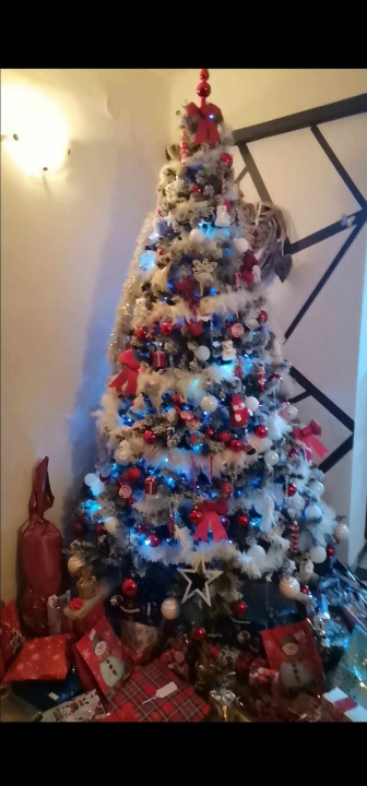 Odluka je pala: Donosimo vam pobjednike izbora najljepše božićne jelke ŠibenikIN-a