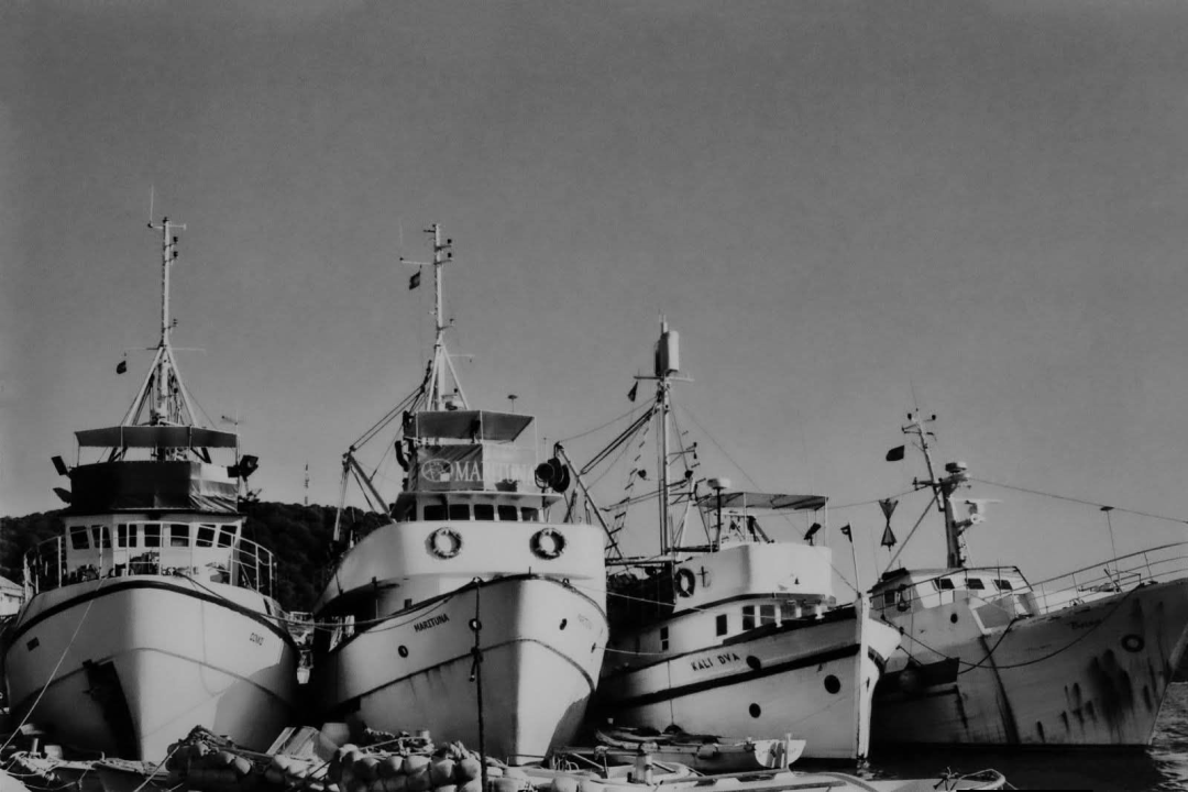 Grupa koja čuva dušu mjesta: Više od 2500 članova svakodnevno oživljava povijest Rogoznice