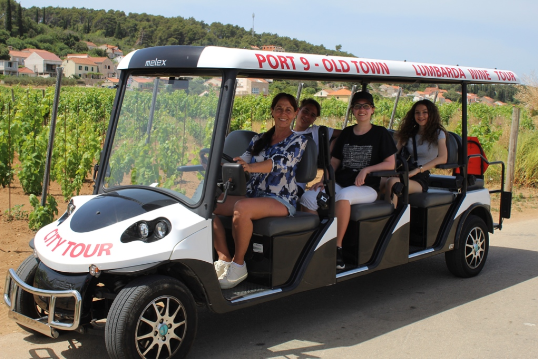 Od prve crte bojišnice do NASA-inih arhiva: Ljiljana Zmijanović kandidatkinja je za 10. Šibensku grandecu